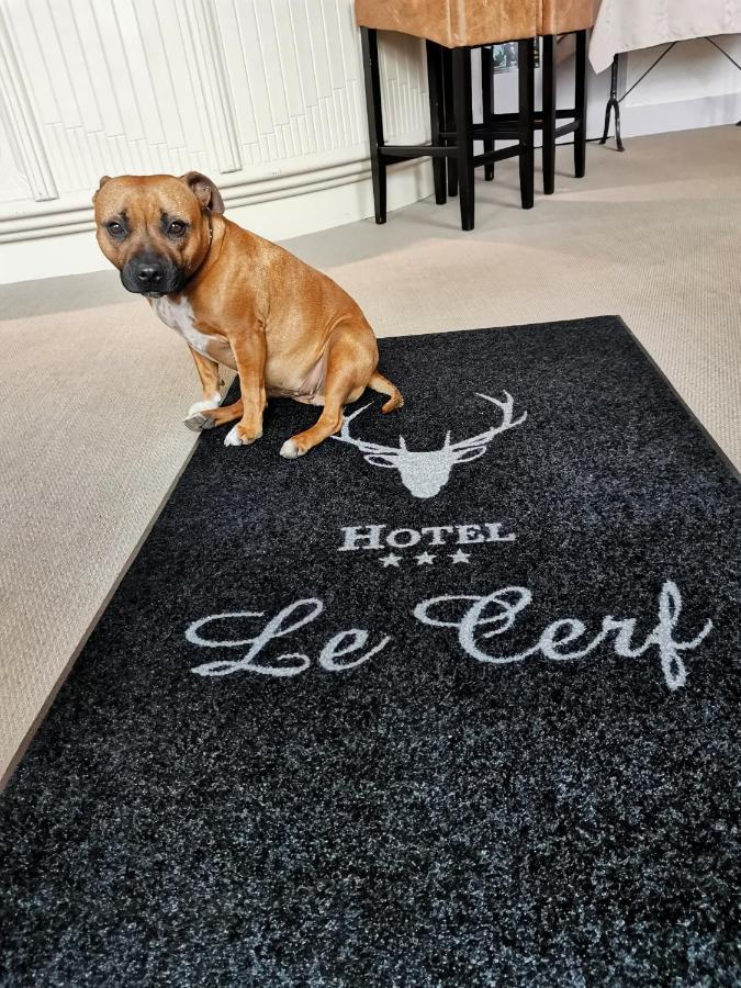 Logis Hotel Le Cerf ブリアール エクステリア 写真