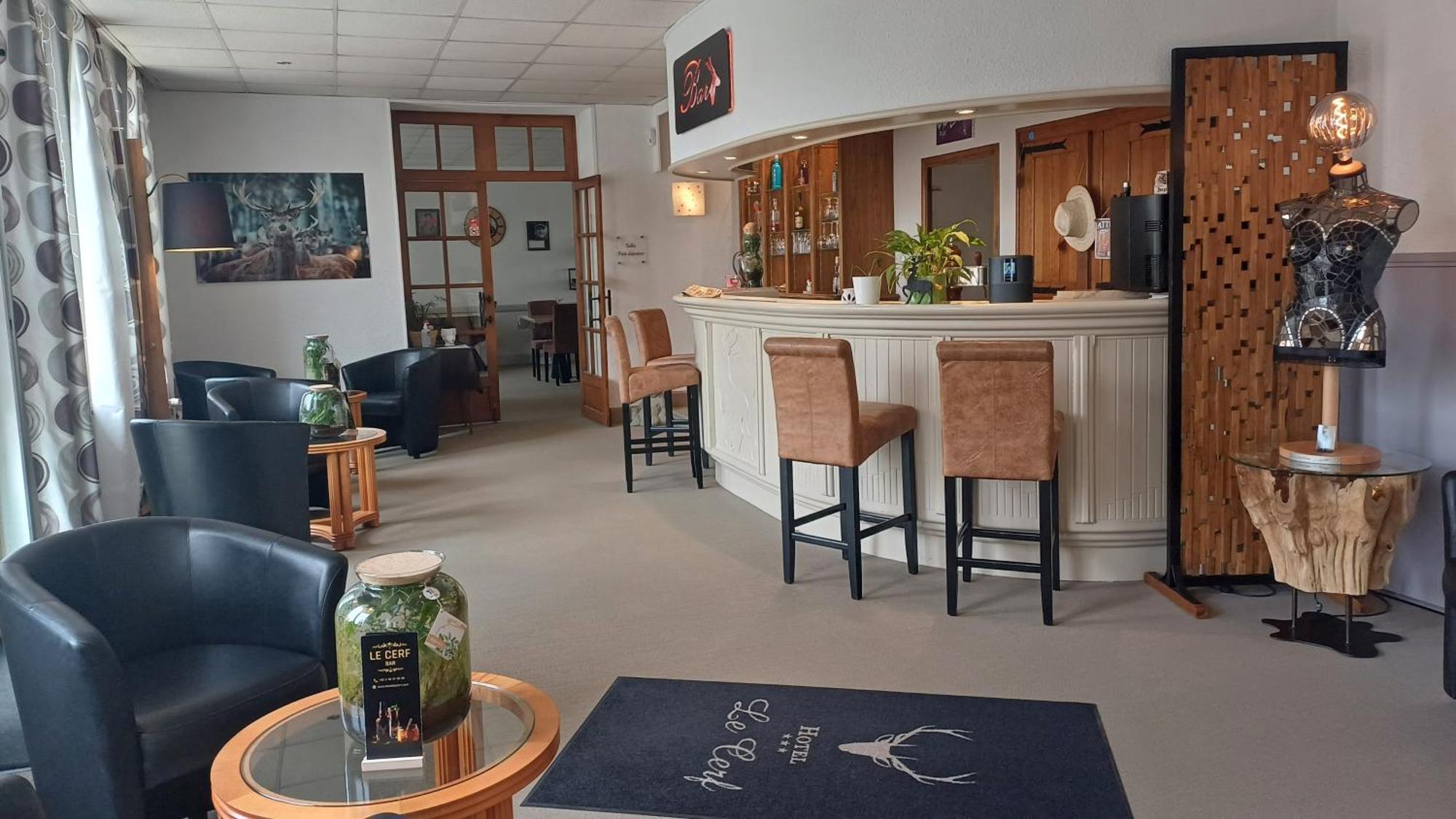 Logis Hotel Le Cerf ブリアール エクステリア 写真